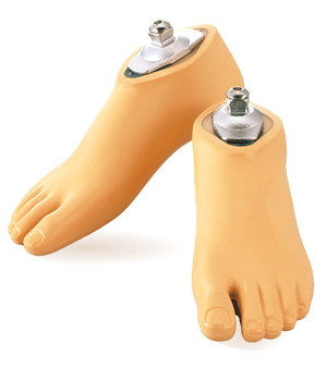 Energy Storing Feet